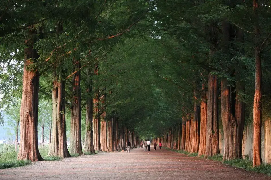 O que avaliar no suporte para evitar falhas na operação O que avaliar no suporte para evitar falhas na operação