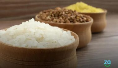 Vale-refeição e vale-alimentação: Entenda as novas regras que beneficiam trabalhadores e restaurantes!